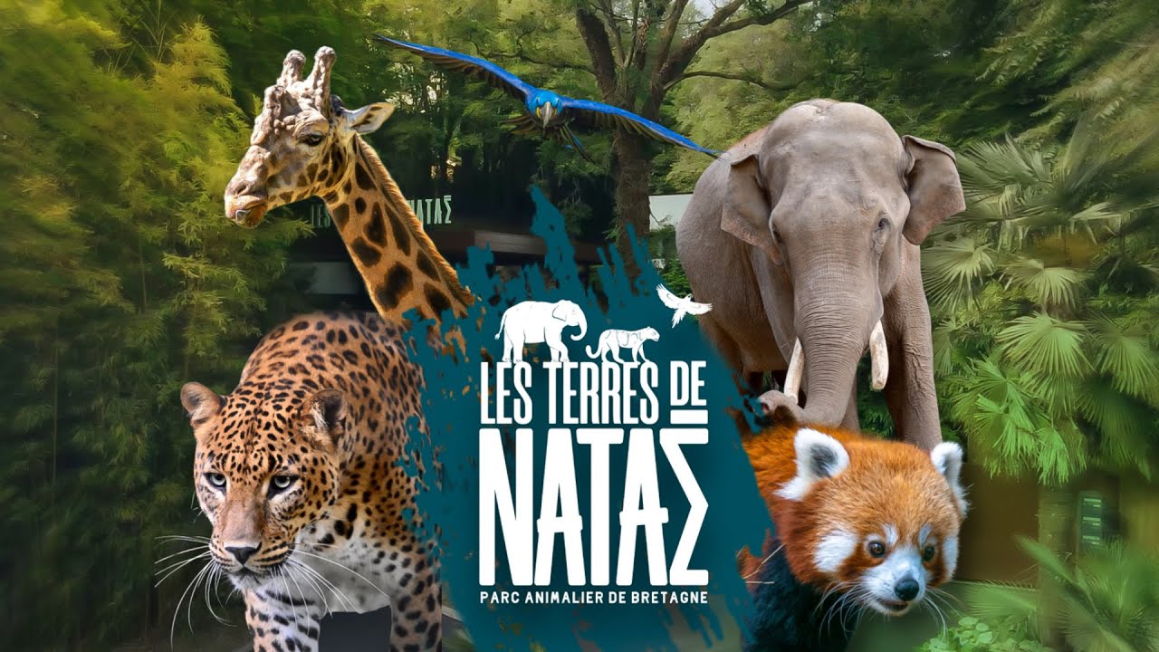 Les Terres de Nataé zoo fauteuil roulant accessible - Roue Libre