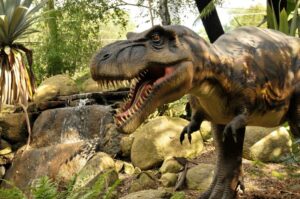 Tropical parc dinosaure roue libre activité PMR