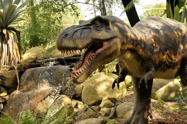 Tropical parc dinosaure roue libre activité PMR
